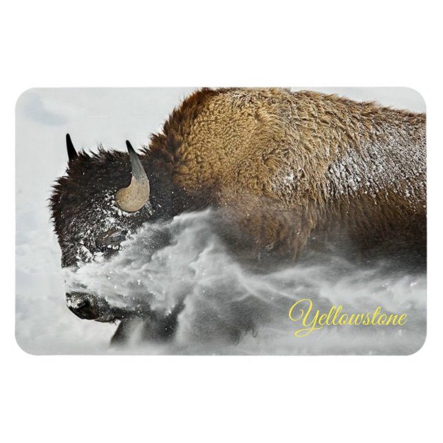 Ímã Magneta Yellowstone (Horizontal)