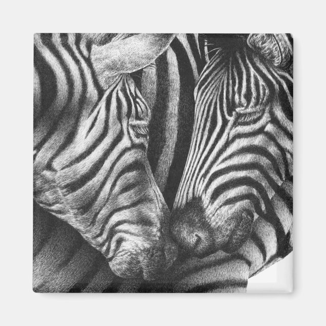 Imã Magneta Zebra Cuja (Frente)