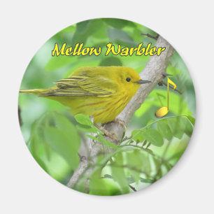 Imã Magnete amarelo (Mellow) Warbler