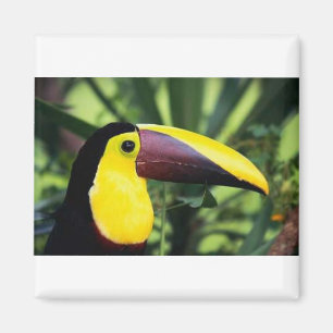 Imã Magnete ao quadrado