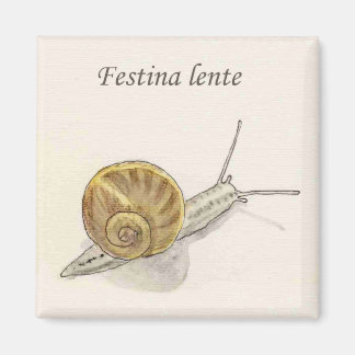 Imã Magnete "Chiocciola"