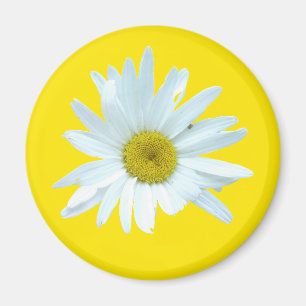 Imã Magnete Daisy
