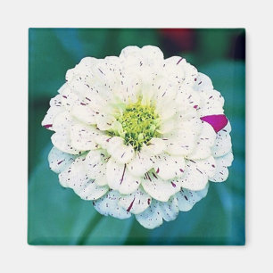 Imã Magnete de Flor Zinnia