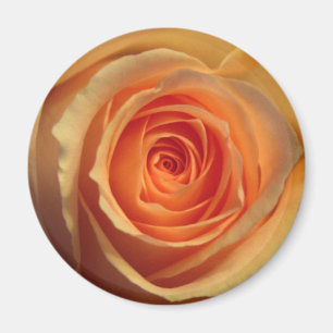 Imã Magnete de Rosa Amarelo