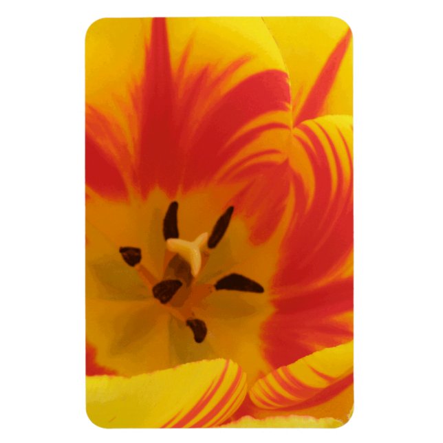 Ímã Magnete Premium com Tulip Fiery (Vertical)