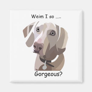 Imã Magnete Weimaraner
