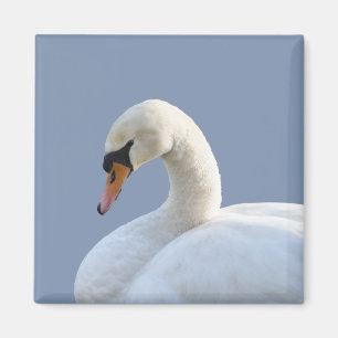 Imã Magneter refrigerador de Cisne Branco
