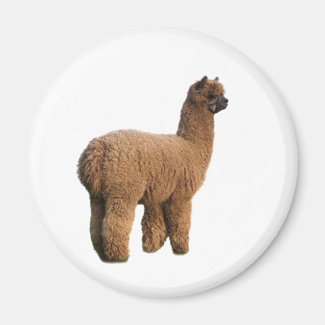 Imã Magnética Alpaca (Frente)