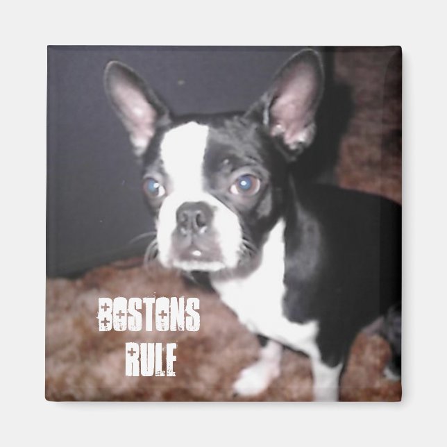 Imã Magnético BT (Frente)