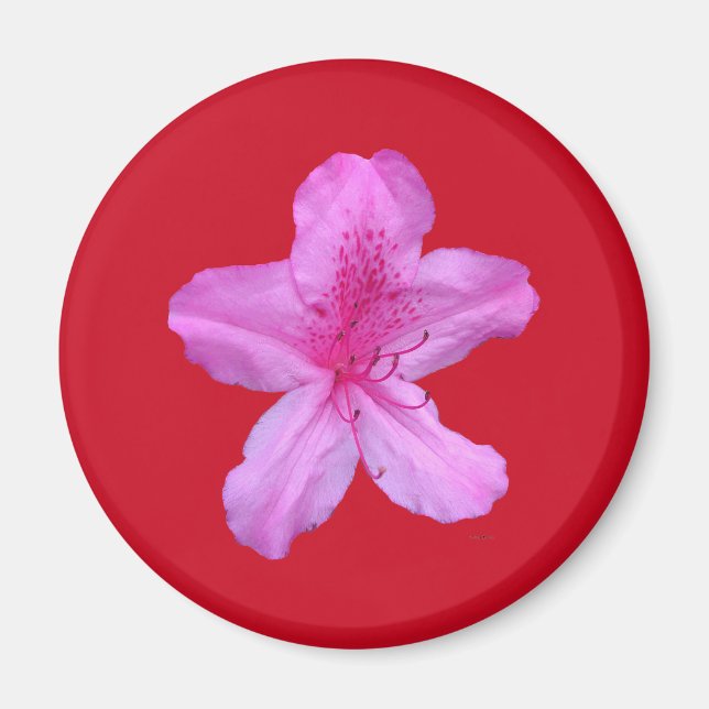 Imã Magnético Flor (Frente)