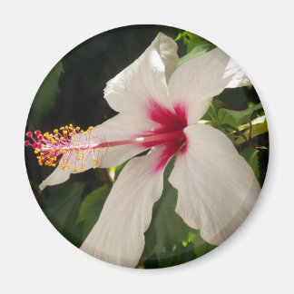 Imã Magnético Flor