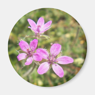 Imã Magnético Flor