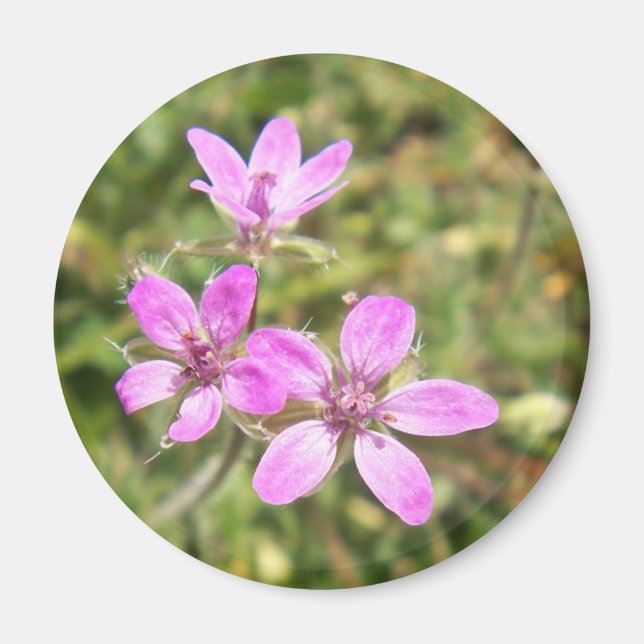 Imã Magnético Flor (Frente)