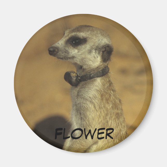 Imã Magnético Flor (Frente)