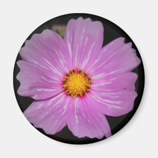 Imã Magnético Flor