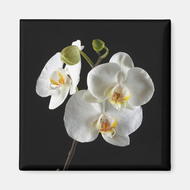 Imã Magnético Flor (Frente)