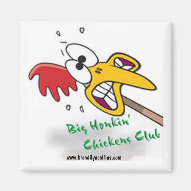 Imã Magneto BHCC (Frente)