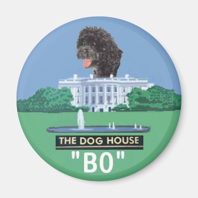 Imã Magneto BO (Frente)