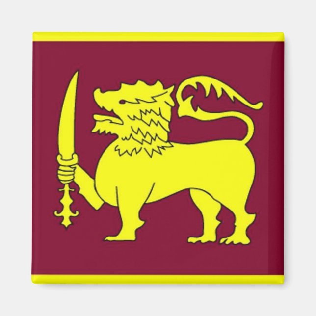 Imã Magneto da Besta Amarela (Frente)