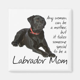 Imã Magneto da Mãe do Laboratório Negro