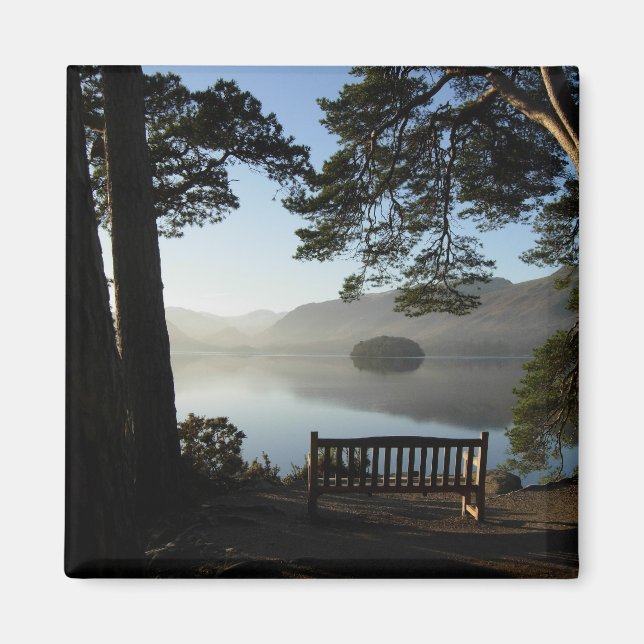 Imã Magneto de águas residuais (Frente)