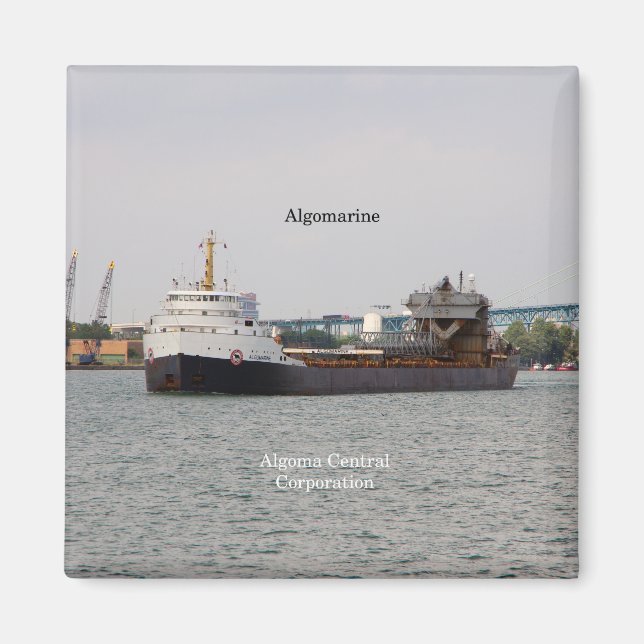 Imã Magneto de algomarina (Frente)