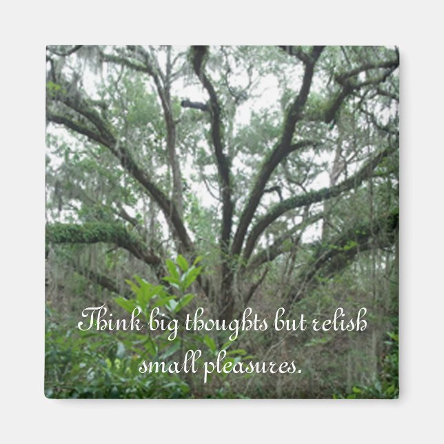 Imã Magneto De Árvore Tranquilo (Frente)