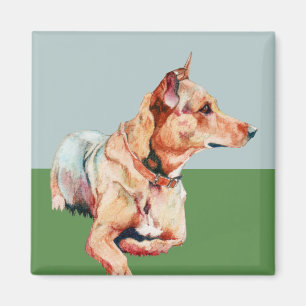 Imã Magneto de Bertha Brown