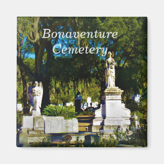 Imã Magneto de Bonaventura 1