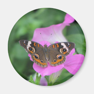 Imã Magneto de Borboleta