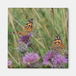 Imã Magneto de Borboleta