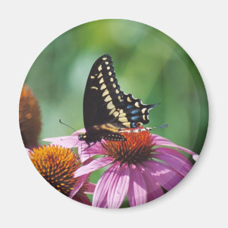 Imã Magneto de Borboleta