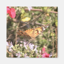 Imã Magneto de Borboleta