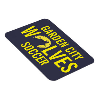 Ímã Magneto de Carro