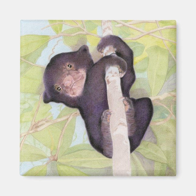 Imã Magneto de Cubo do Urso Sol (Frente)