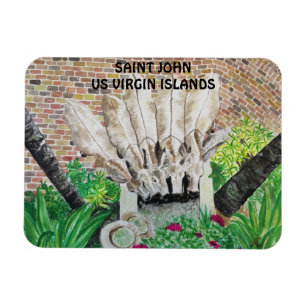 Ímã Magneto de Donkeys