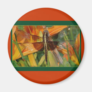 Imã Magneto De Dragonfly Amarelo