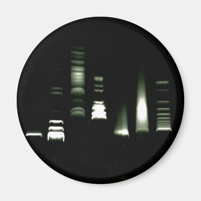 Imã Magneto de eletroforese do DNA Gel (Frente)