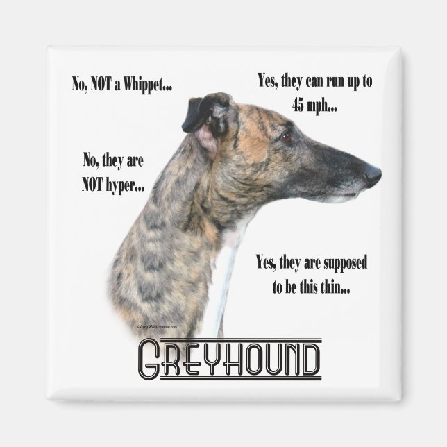 Imã Magneto de FAQ de Greyhound (Frente)
