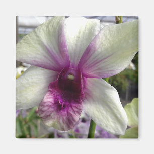 Imã Magneto de Flor Orquídea