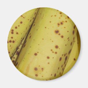 Imã Magneto de Fruta de Banana