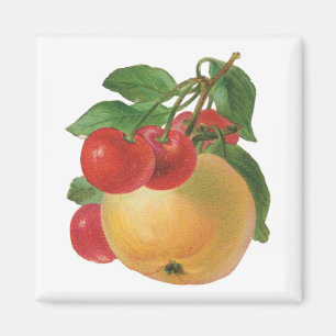 Imã Magneto de Fruta de Vintage
