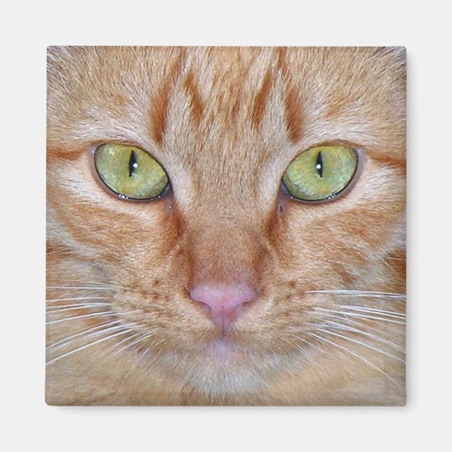 Imã Magneto de Gato Laranja (Frente)