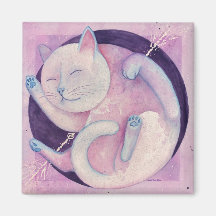 Magneto de Gato Quasar