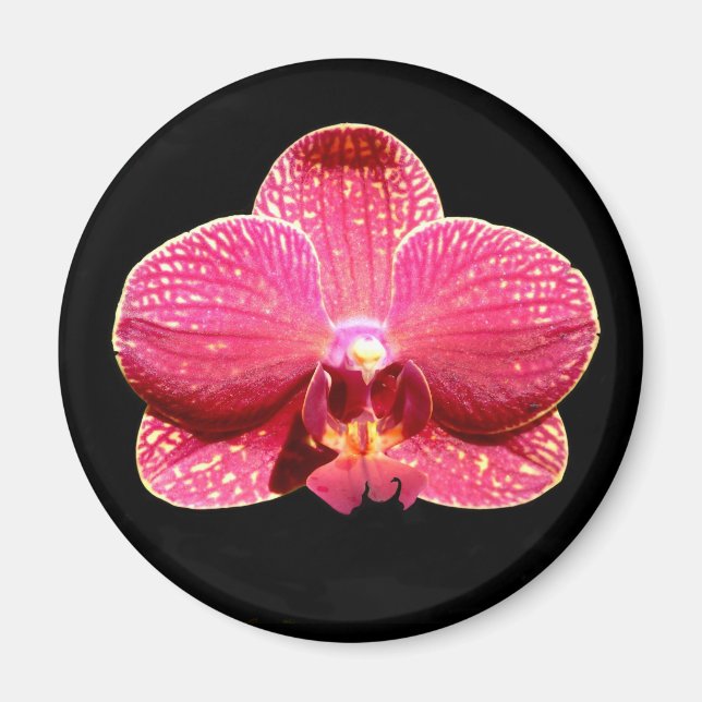 Imã Magneto de Orquídea Mágica (Frente)