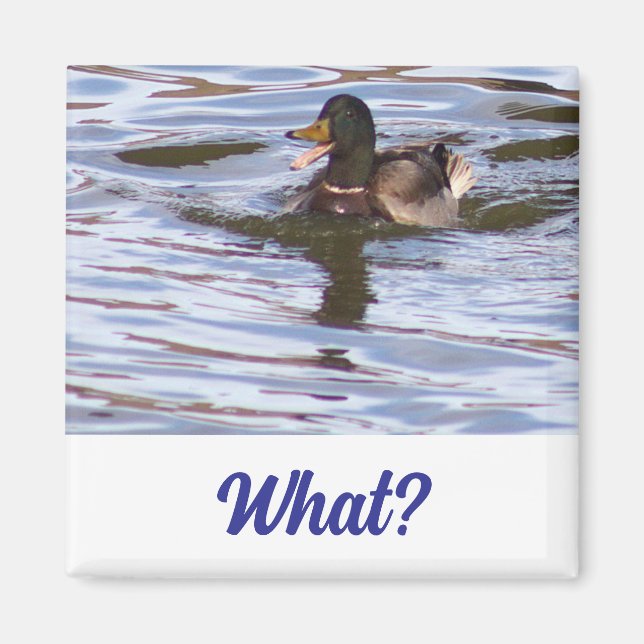 Imã Magneto de Pato bobo Mallard (Frente)