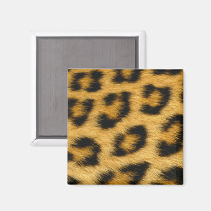 Imã Magneto De Peles Leopardo