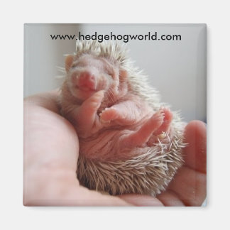 Imã Magneto de pés de bebê