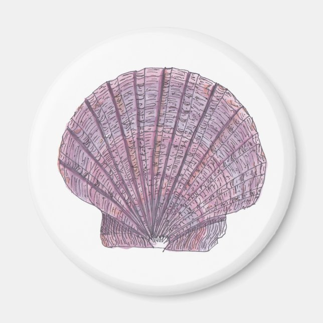 Imã Magneto de Seashell de Aquarela (Frente)