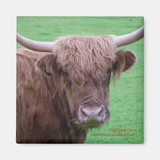 Imã Magneto de Vaca do Land (Frente)